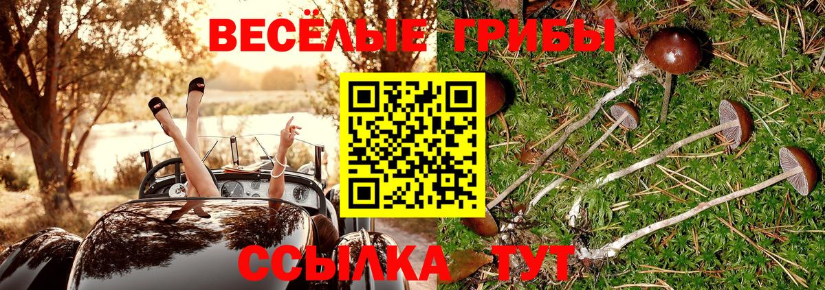 Галлюциногенные грибы мицелий  купить закладку  Нерюнгри  Вход с VPN 
